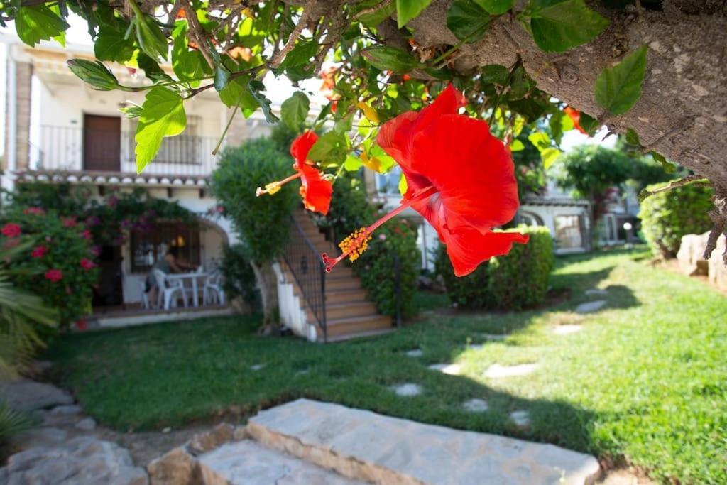 Апартаменты Casa En Denia Con Piscina Y Jardin Экстерьер фото